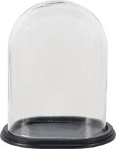 Clayre & Eef Stolp 21*16*27 cm Transparant Hout, Glas Glazen Stolp