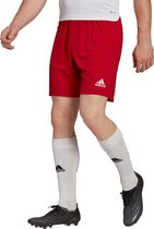 adidas - Entrada 22 Shorts - Voetbalshorts Heren-M