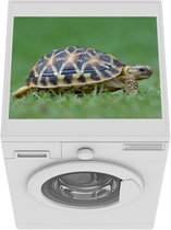 Wasmachine beschermer mat - Schildpad op gras - Breedte 55 cm x hoogte 45 cm