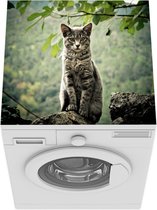 Wasmachine beschermer mat - Kat - Steen - Bos - Breedte 60 cm x hoogte 60 cm