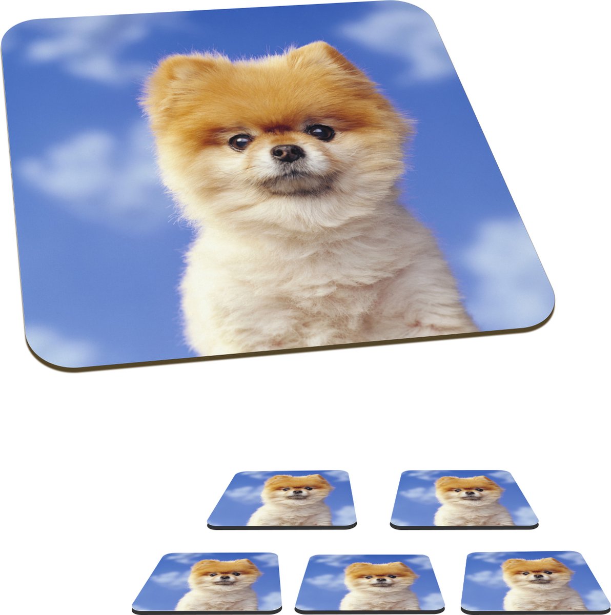 Onderzetters voor glazen - Puppy van dichtbij - 10x10 cm - Glasonderzetters - 6 stuks
