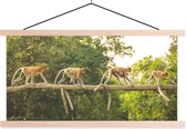 Porte-affiche avec affiche - Affiche scolaire - Singes marchant sur une branche - 120x60 cm - lattes vierges