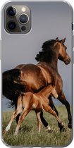 Geschikt voor iPhone 12 Pro Max hoesje - Dieren - Paarden - Veulen - Siliconen Telefoonhoesje