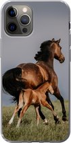Geschikt voor iPhone 13 Pro hoesje - Dieren - Paarden - Veulen - Siliconen Telefoonhoesje