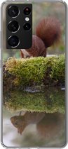Geschikt voor Samsung Galaxy S21 Ultra hoesje - Bosdieren - Water - Mos - Siliconen Telefoonhoesje