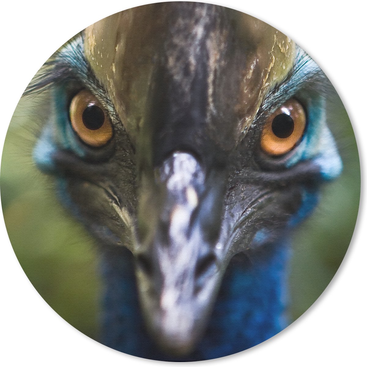 Muismat rond 20x20 cm - Mousepad Close-up van kasuaris - Ronde muismatten