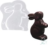 Branche latérale - Forme de lapin de Pâques en chocolat - Moule - Moule - Pasen- Pâques - Plastique - Transparent - Réutilisable
