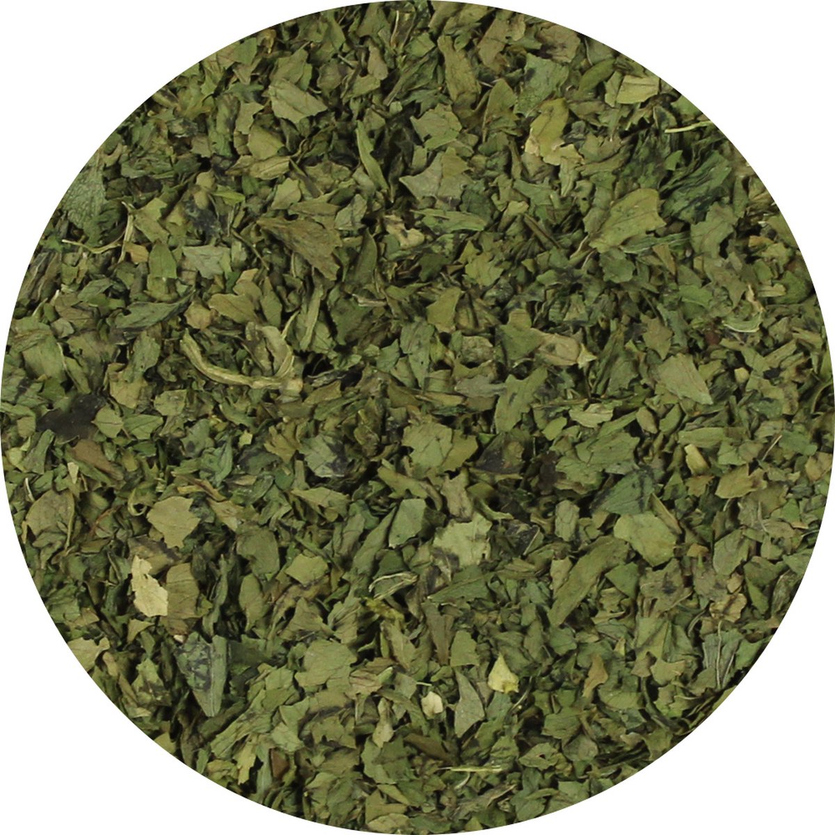 Goedkoopste Van Beekum Specerijen - Selderijblad Gesneden - 5 KG - Zak (bulk verpakking