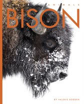 Amazing Animals- Bison