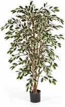 Ficus Nitida var. - kunstplant
