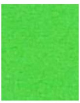 Papier A4 160gr 25 vel groen