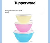 Tupperware vintage wonderkommen set van 4