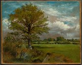 Kunst: Lionel Bicknell Constable, Tree in a Meadow, c. 1850, Schilderij op canvas, formaat is 75X100 CM