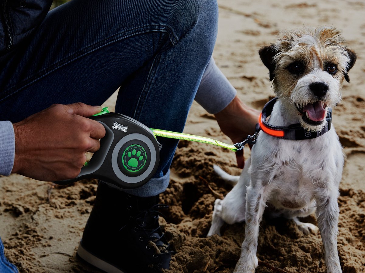 Retractable Dog Zoofari Led Dog Collar Zoofari Retractable Dog