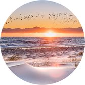 Behangcirkel Zonsondergang Strand Met Vogels | ⌀ 30 cm | Zelfklevend | Wanddecoratie | Ronde Muursticker | Muurcirkel Binnen