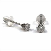 Aramat jewels ® - Zirkonia zweerknopjes ster 4mm oorbellen transparant chirurgisch staal