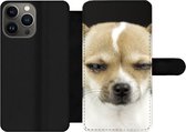 Bookcase Geschikt voor iPhone 13 Pro telefoonhoesje - Hond - Huisdieren - Portret - Met vakjes - Wallet case met magneetsluiting