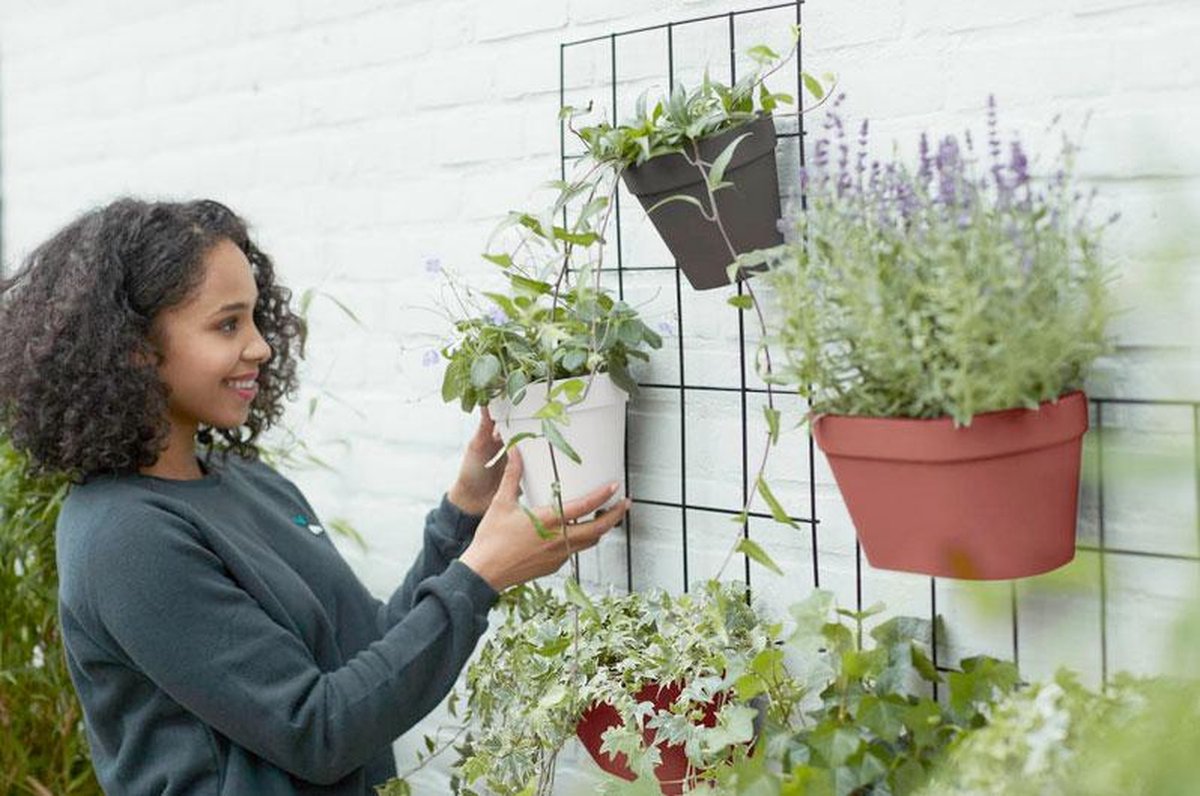 Elho Loft Urban Green Wall Pot Single 15 - Pot de fleurs pour l'extérieur