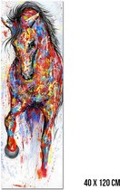 Allernieuwste Canvas Schilderij Groot Graffiti Paard vs 2 - Grafitti - XL - Kleur - 40 x 120 cm
