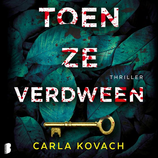 Toen ze verdween - cover