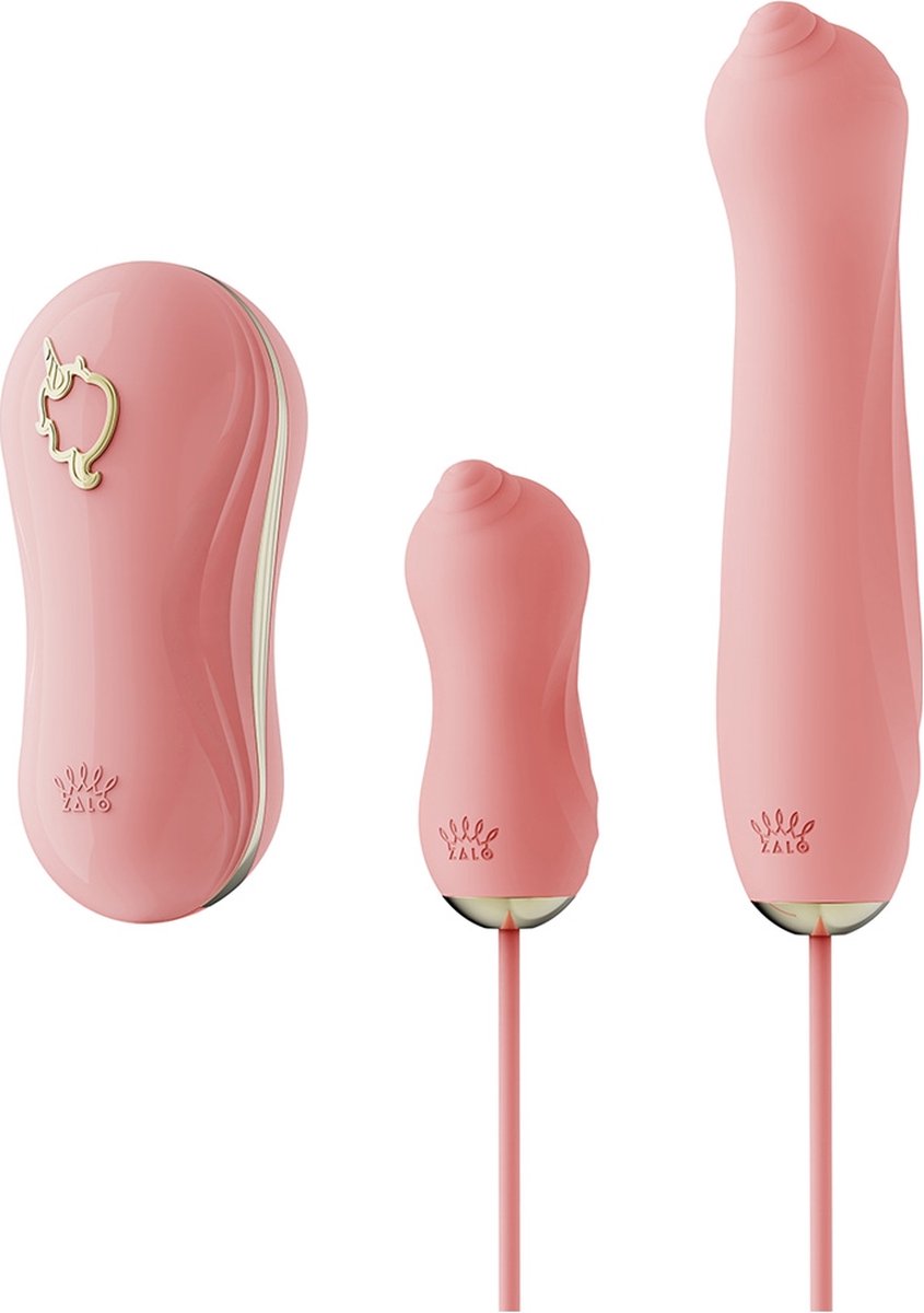 Goedkoopste Zalo - Sucking Vibrator with Pump and Different Attachments