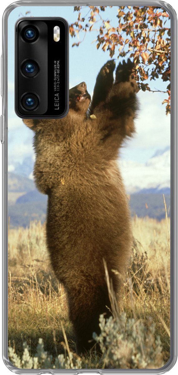 Telefoonhoesje Geschikt voor Huawei P40 hoesje - Beer - Bladeren - Gras - Siliconen Telefoonhoesje Telefoonhoesje