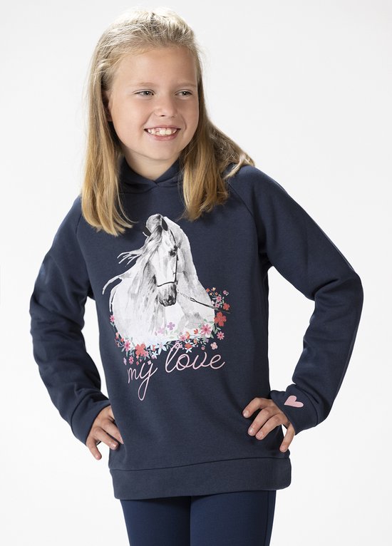 pull à capuche esprit cheval bleu taille 146/152