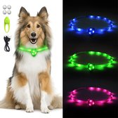 Lichthalsband voor honden
