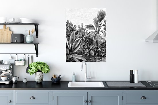 Design d'affiche - Plantes - Nature - 60x80 cm