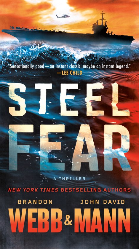 The Finn Thrillers- Steel Fear - cover