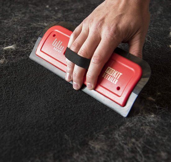 Lilly Brush Pro Pet Hair Tool Kit (pour les poils de chien et de chat