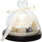 Cupido’s Choice ® Roos in Stolp | Inclusief Gift Box  | Roos in Stolp | Roos in Glas | Wit