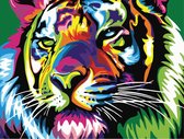 Schilderen op nummer kleurrijke tijger 40 x 50 cm