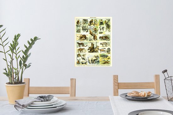 Stickers muraux Animaux - Animaux - Singe - Ours - 30x40 cm - Feuille adhésive