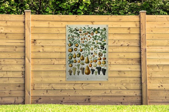 Affiche de jardin Fruit - Poire - Raisin - 90x120 cm