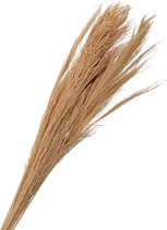 Oneiro’s Luxe Droogbloemen pb. broom grass 100 gr l. orange 90-100 cm – hotel chique - binnen - accessoires - decoratie – bloemen – mat – glans – industrieel