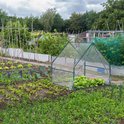 Een kleine kas met transparante folie en groene paaltjes in een moestuin met diverse groenten.