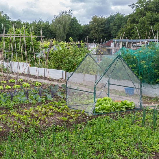 Een kleine kas met transparante folie en groene paaltjes in een moestuin met diverse groenten.