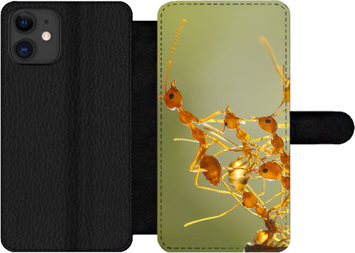 Telefoonhoesje Geschikt voor iPhone 11 telefoonhoesje - Mieren - Oranje - Dieren - Met vakjes - Wallet case met magneetsluiting