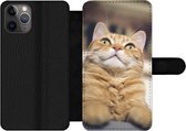 Bookcase Geschikt voor iPhone 11 Pro Max telefoonhoesje - Kat - Bank - Oranje - Met vakjes - Wallet case met magneetsluiting