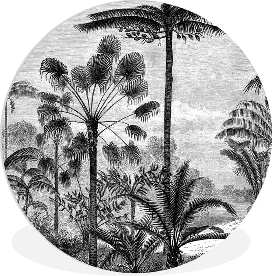 Zwart-wit rond schilderij met tropisch boslandschap, palmboom en planten.