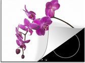 KitchenYeah® Inductie beschermer 70x52 cm - Orchidee tegen witte achtergrond - Kookplaataccessoires - Afdekplaat voor kookplaat - Inductiebeschermer - Inductiemat - Inductieplaat mat