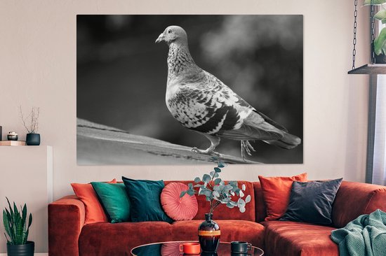 Tableau sur toile 150x100 cm - Décoration murale Pigeon voyageur sur un toit - noir et blanc - Décoration murale salon - Décoration chambre - Accessoires chambre - Peintures