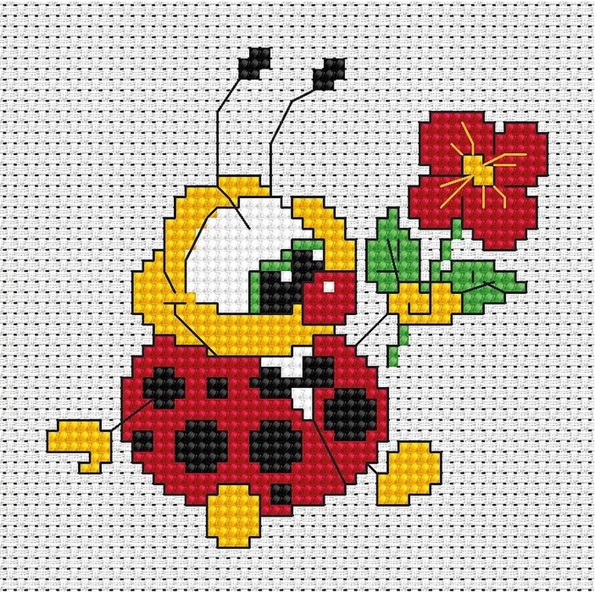 Luca S Borduurpakketje Ladybug 062