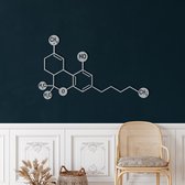 Wanddecoratie |Serotonine Molecuul / THC Molecule   decor | Metal - Wall Art | Muurdecoratie | Woonkamer |Zilver| 90x62cm