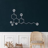Wanddecoratie |Serotonine Molecuul / THC Molecule   decor | Metal - Wall Art | Muurdecoratie | Woonkamer |Zilver| 75x45cm