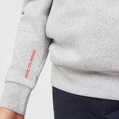 Red Bull Racing Logo Hoody Grijs 2022 Maat XS