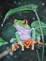 Diamond Painting - Kikker - Tak - 30x40 cm - Vierkante Steentjes - Dieren - Volwassenen - Kerst - Hobby - Cadeau - Moederdag - Cadeau