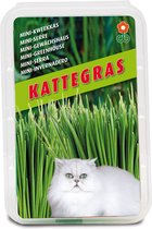 Tip: Kweekset Kattengras - Kas - Kweken - Foliumzuur - Britse korthaar - Lapjeskat -  Vaderdag - Moederdag - Moestuin - Verjaardag - Cadeau