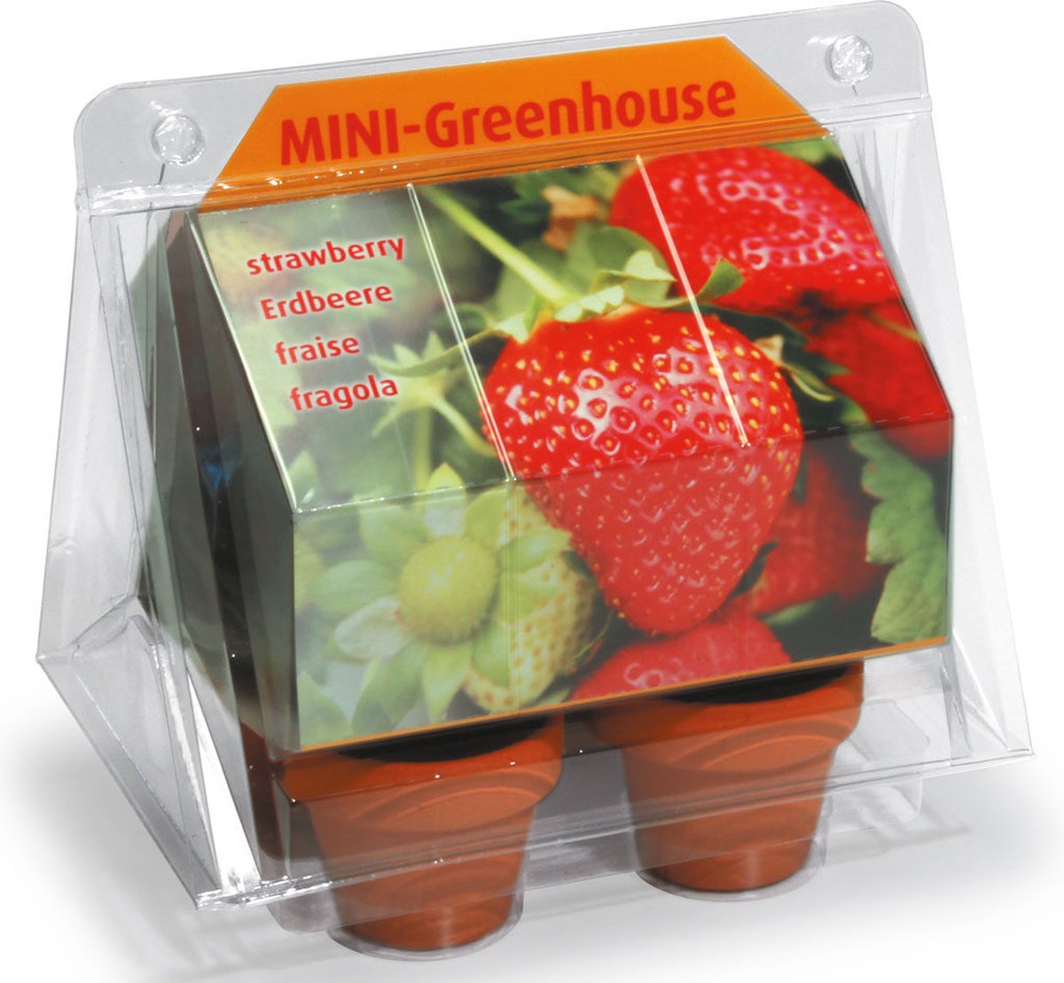 Tip: Kweekset Aardbeien - Kas - Kweken - Aardbeien - Aardbeien plant - Aardbeienplant - Moestuin - Vaderdag - Moederdag - Verjaardag - Cadeau